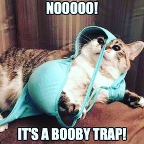 image.jpeg.f9c2a22982c980dcb71d5e0bd3a84017.jpeg