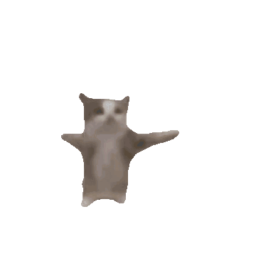 jumping-gatito.gif.8dc99b300fb274e3d510126299589c0b.gif