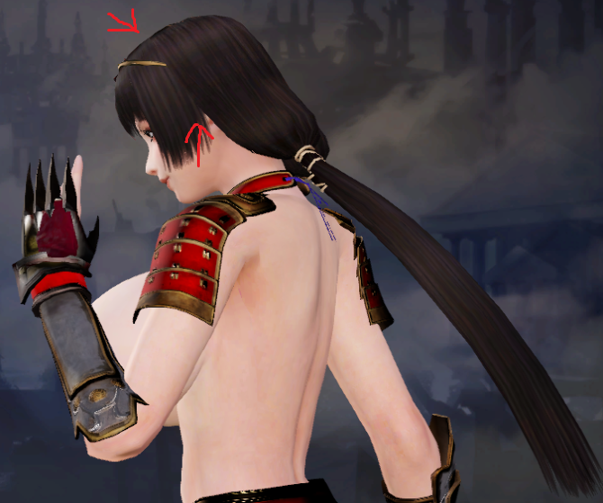 naotora-hair-02.png.6d6010011060632280c2693408a99985.png