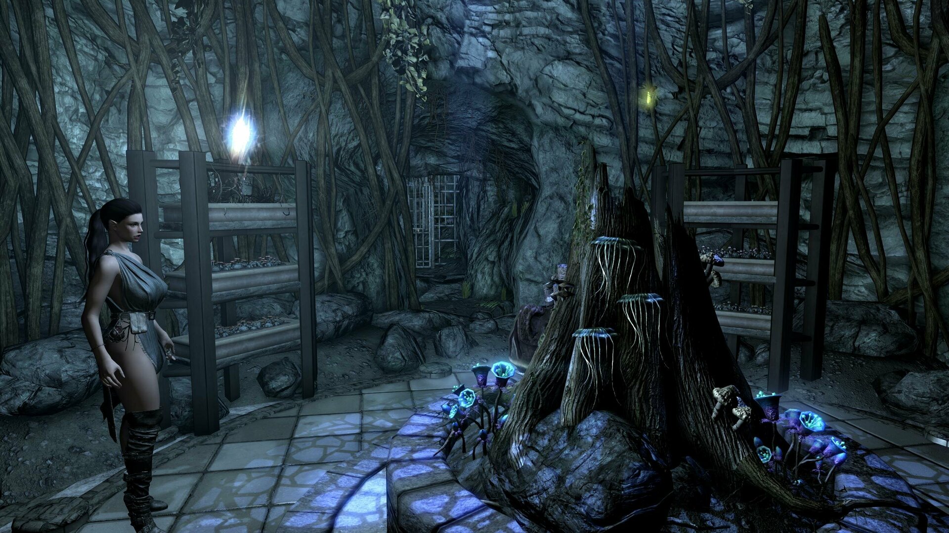 SkyrimSE2024-06-1118-13-21-67.thumb.jpg.75651e96c38d9ec772b468353639683f.jpg
