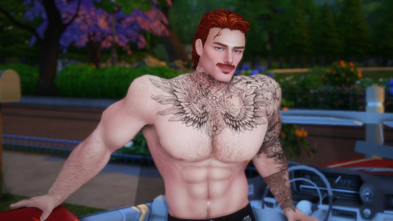 TS4_DX9_x6413-08-17.png.0335cbf58224ffb5de6c005b847858df.png