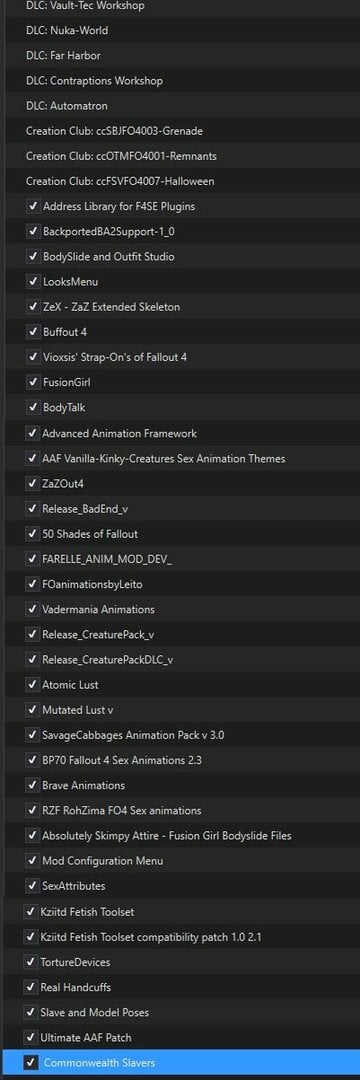 load order CS.jpg