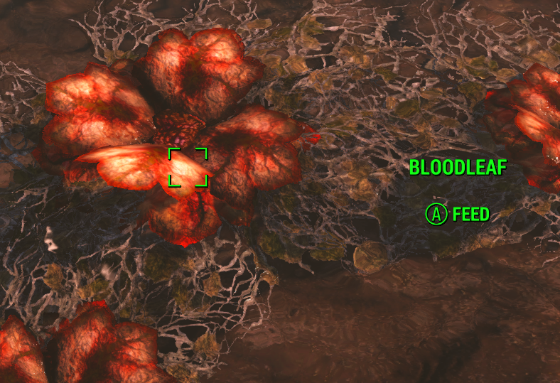 Screenshot2024-07-13222619.png.08cf898e0c5c84f3e12ec8cc8f4ba476.png