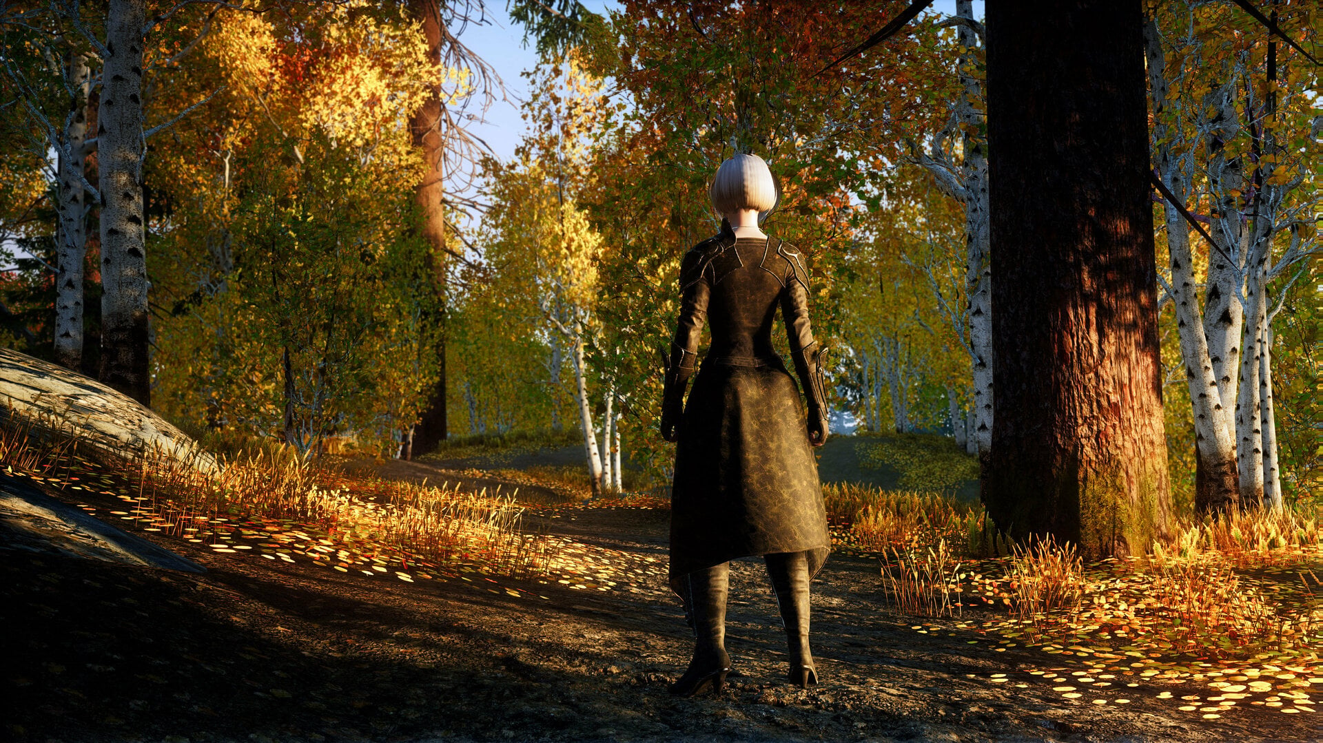 Screenshot 2024-07-19 032952.jpg
