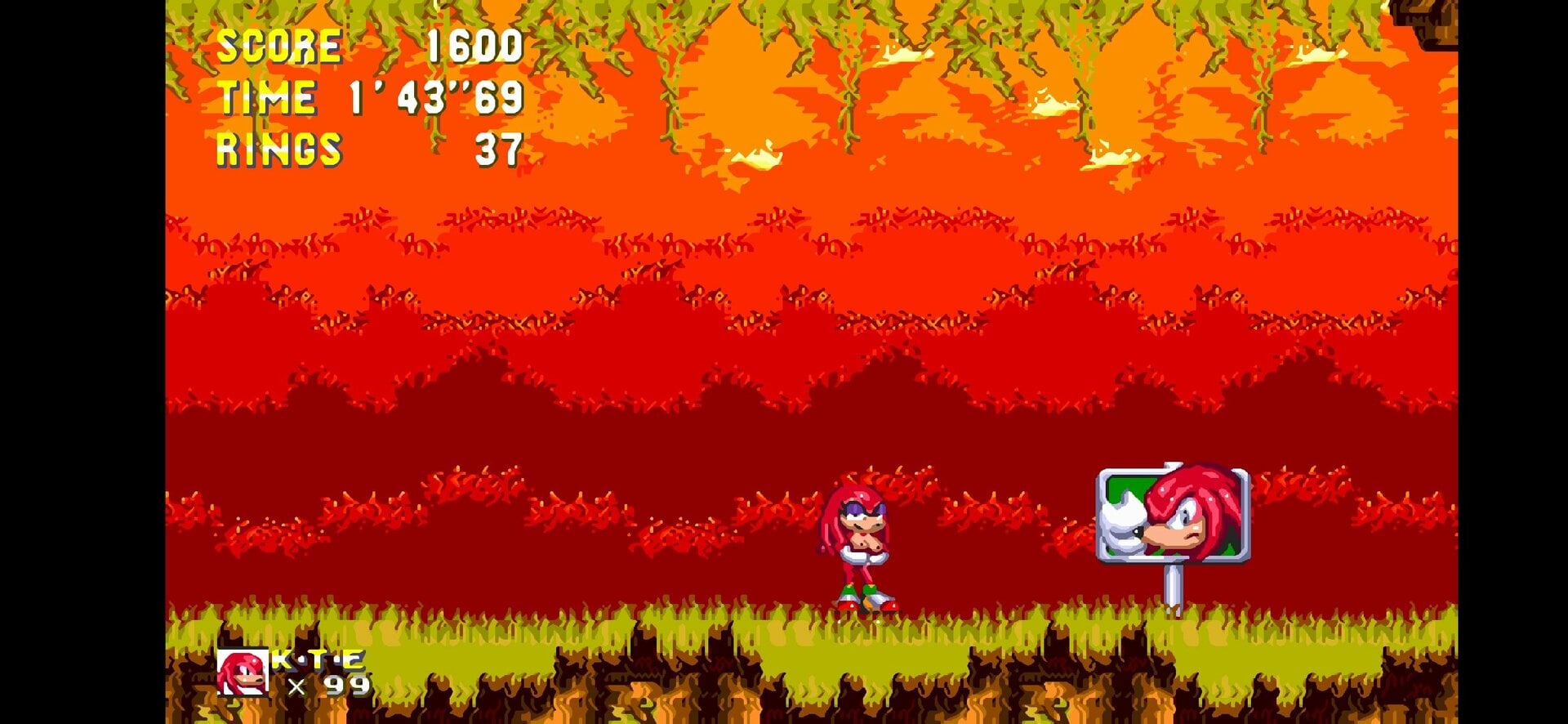 Screenshot_20240707-154426_Sonic 3 AIR.jpg