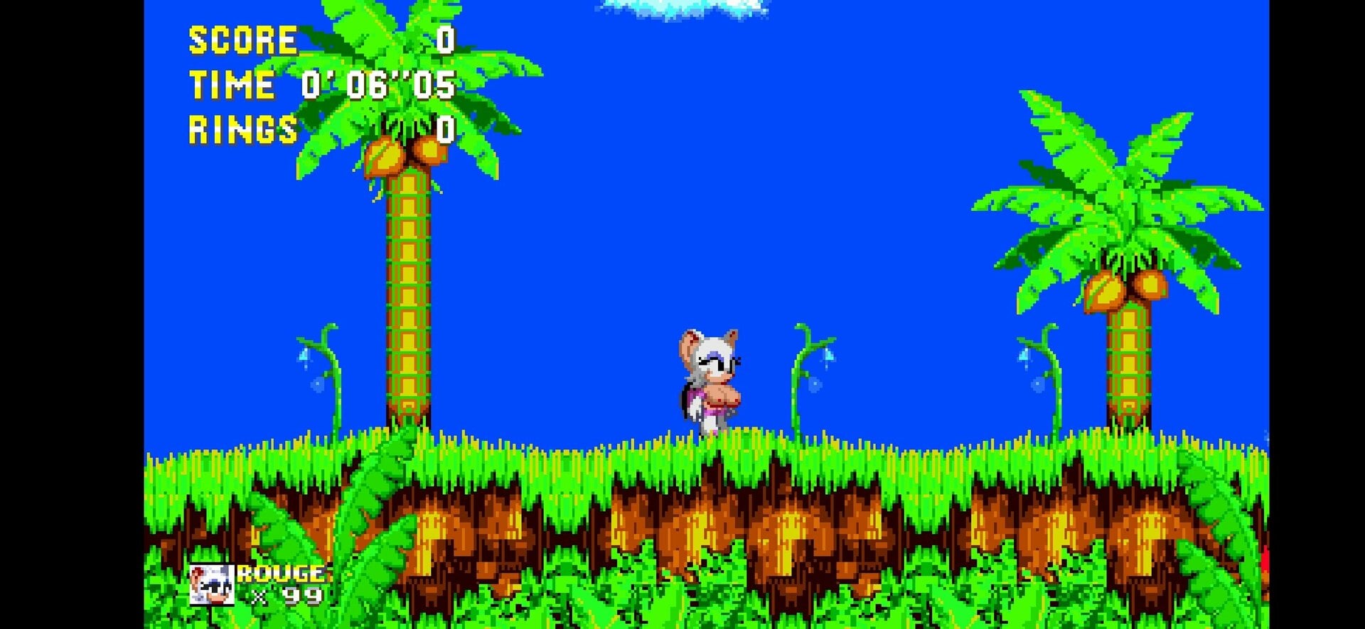Screenshot_20240723-190858_Sonic 3 AIR.jpg