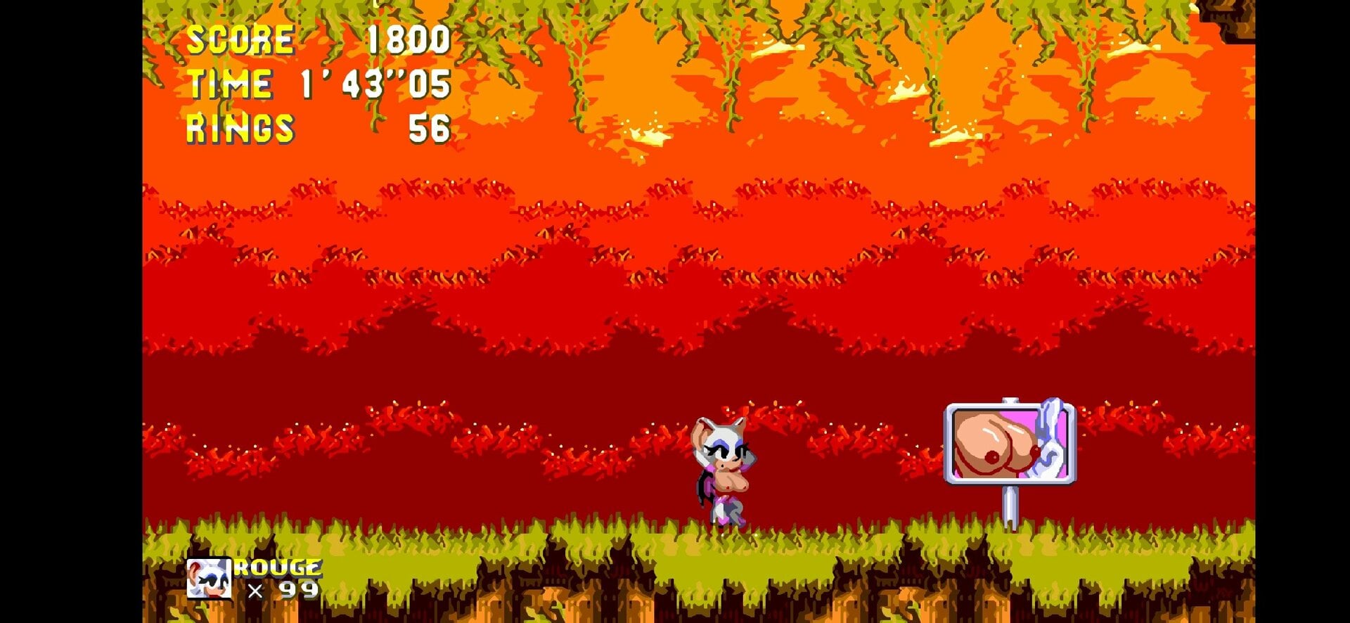 Screenshot_20240723-191111_Sonic 3 AIR.jpg