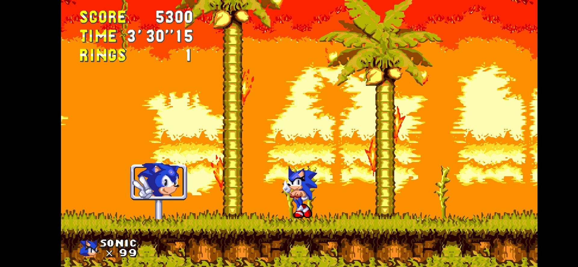 Screenshot_20240731-165535_Sonic 3 AIR.jpg