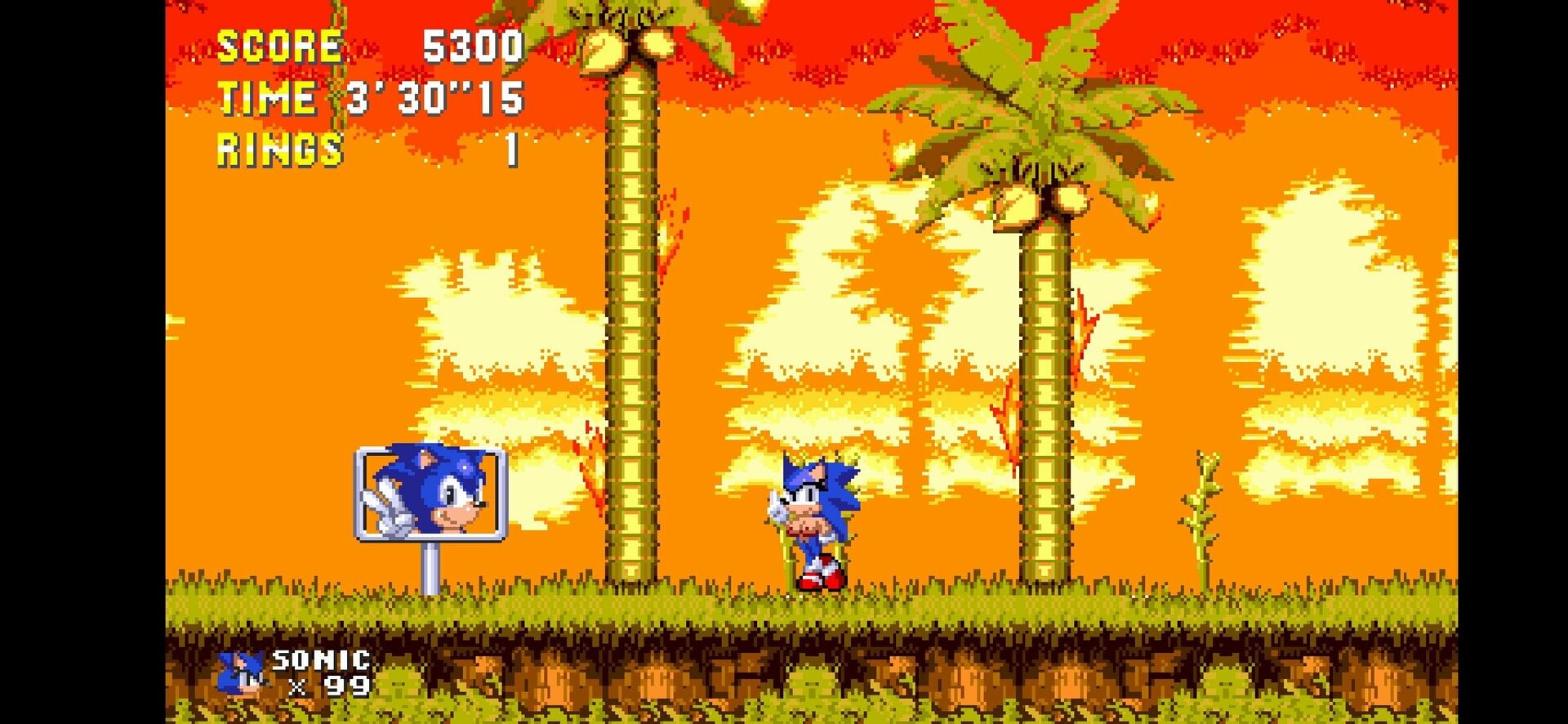 Screenshot_20240731-165552_Sonic 3 AIR.jpg
