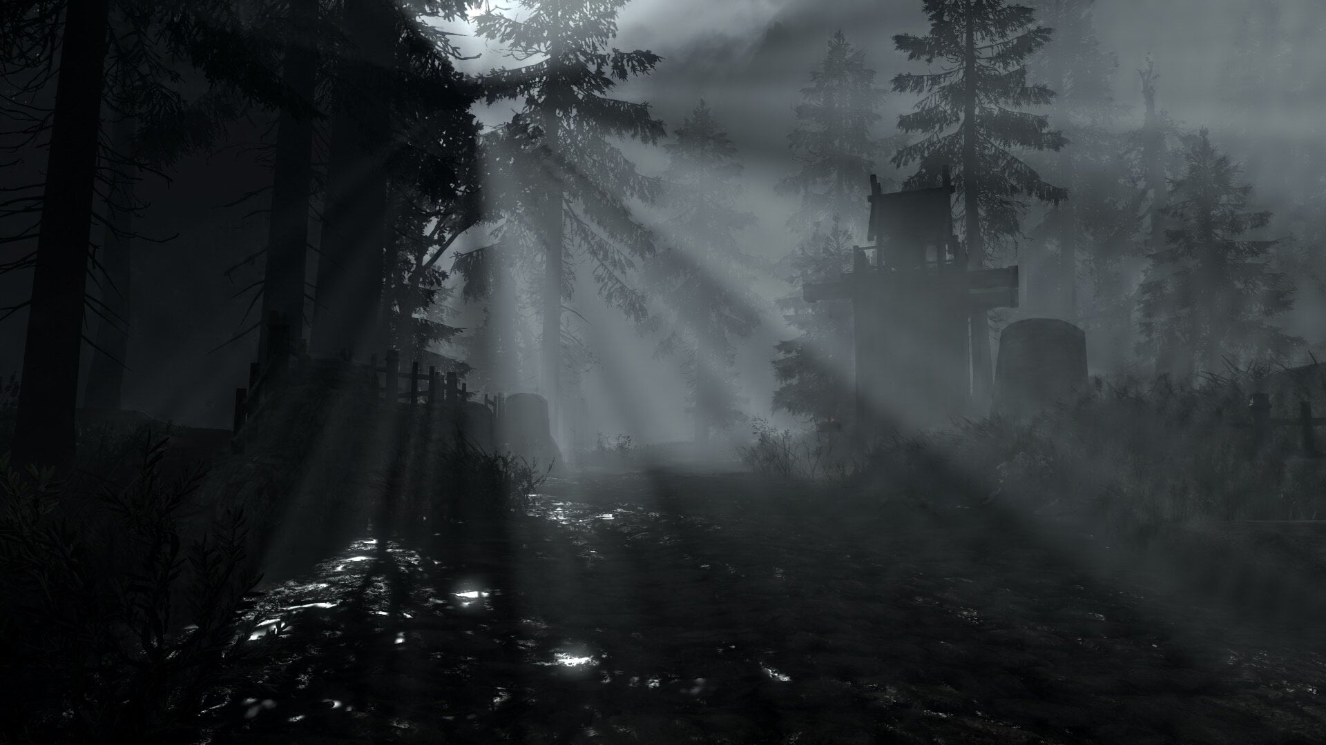 enb2024_7_13_17_44_07.jpg.ae8043059ba282157a1da489b338e98a.jpg