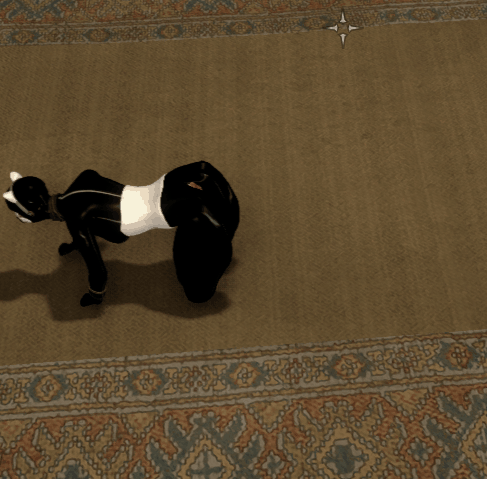 idle1.gif.dcc3f9913422be5010e588cd8e0aa0bf.gif