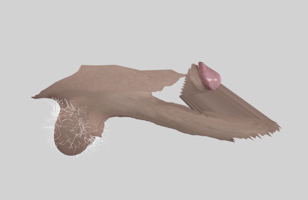 image.png.6542f5660480ff65abea62d12004a7d3.png