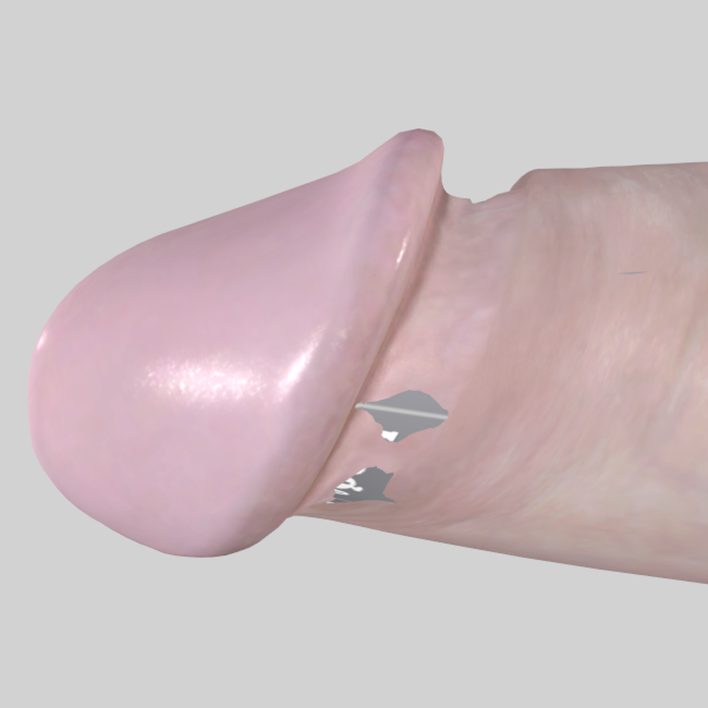 1.png.6c28d028f9756bbce36776ce0ce840e1.png
