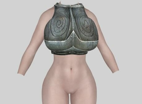 ArmorTop.JPG.ad50959dd13af48bdd951a3e2e3b76a3.JPG