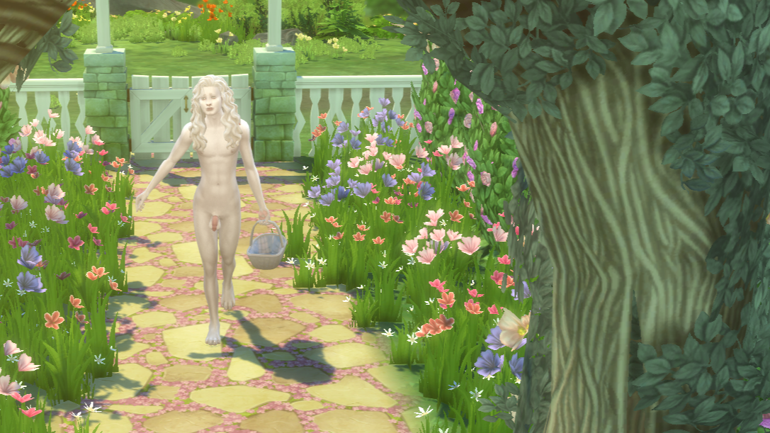 SunnyDay.png.35f4a0b41e1ac72753dcfca9ed47b94c.png