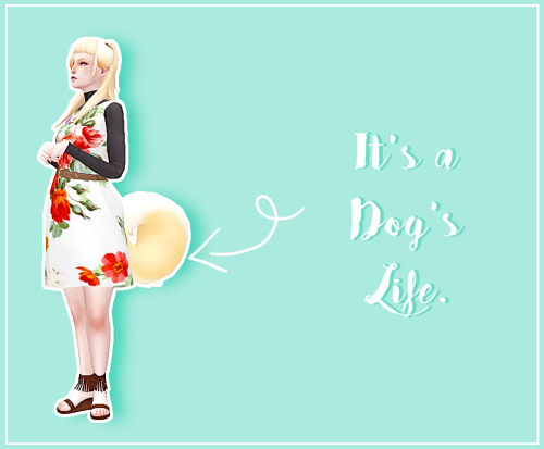 bf362dd9b46bfb6a48f94eb7fa3c7b2d.png.bc9866a9451e9a9ad94ef902bb509f99.png