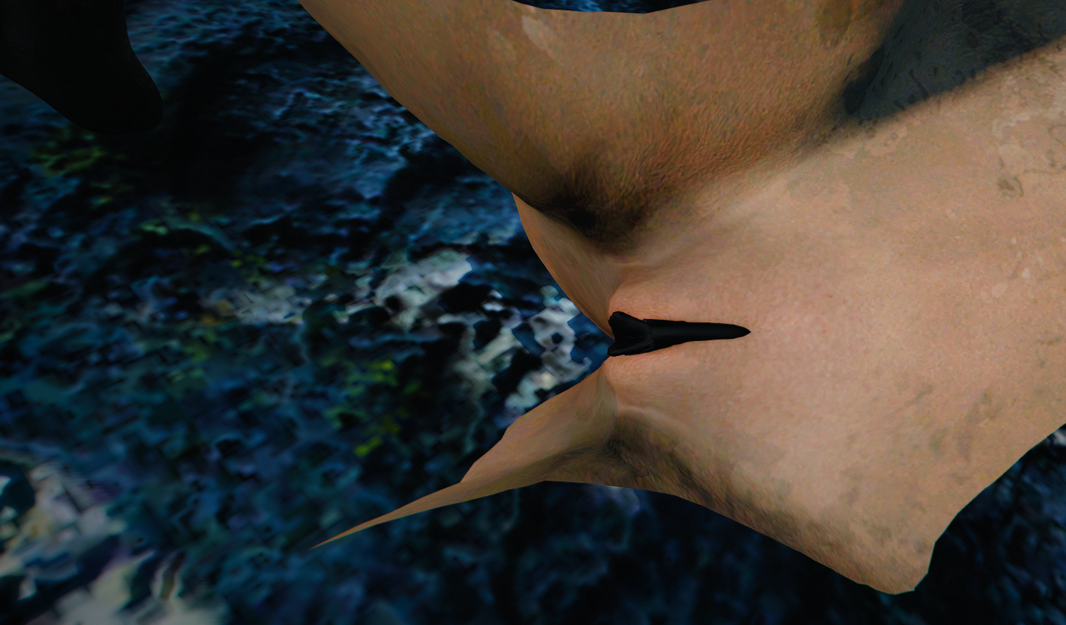 pic2.png.8b22735b9067890b4b41f771607638bd.png