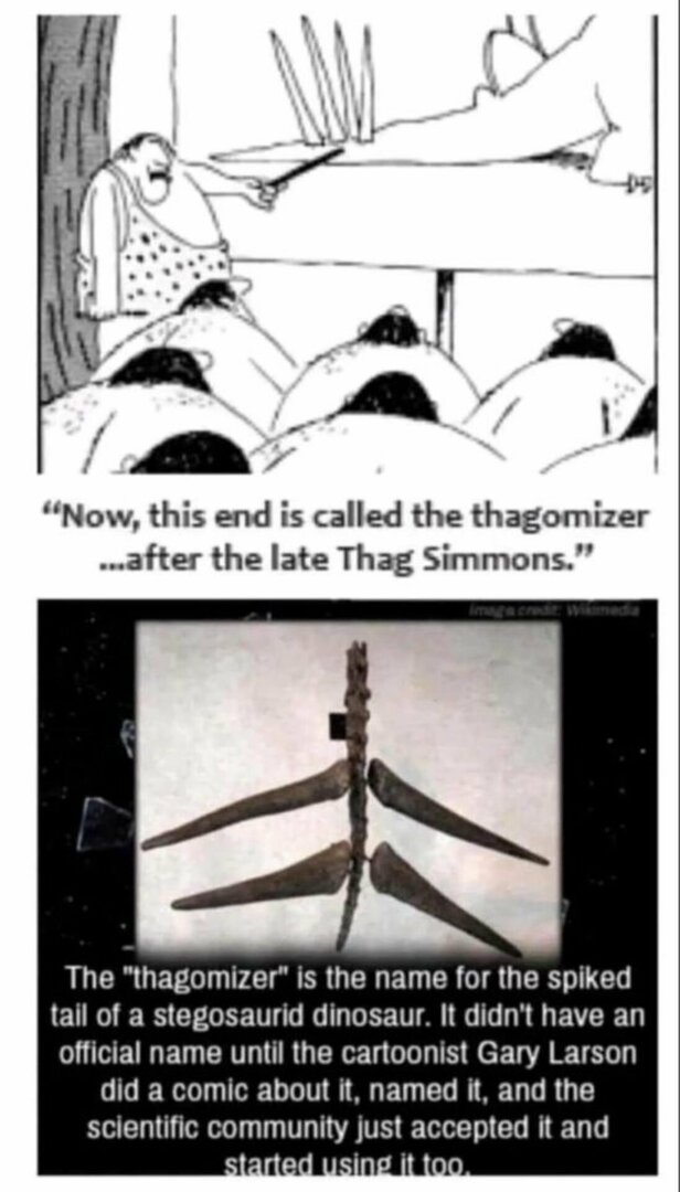 LLThangomizer.jpg