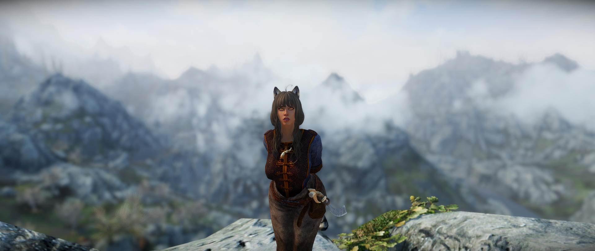 SkyrimSE2024-09-1521-08-38-85.thumb.png.3a835a34122313e4d1b26a2a450019c7.png