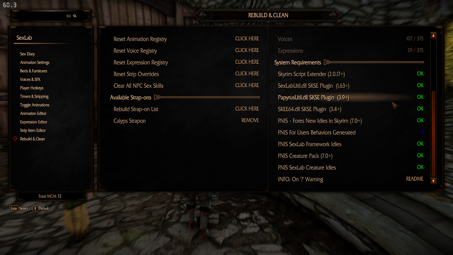 SkyrimSE_djjK9omhXJ.png.377b127549f503f5cc302b8dc394069e.png