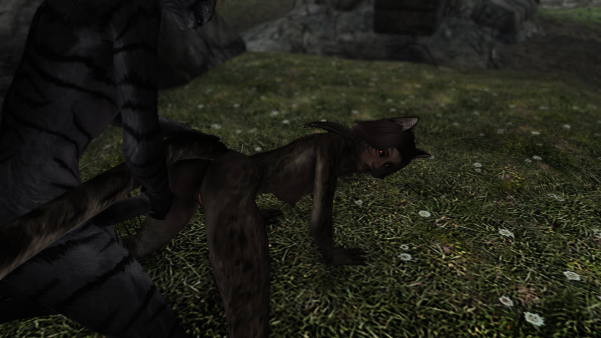 image.thumb.png.fbb6bdad9c85200919152f8c834805db.png
