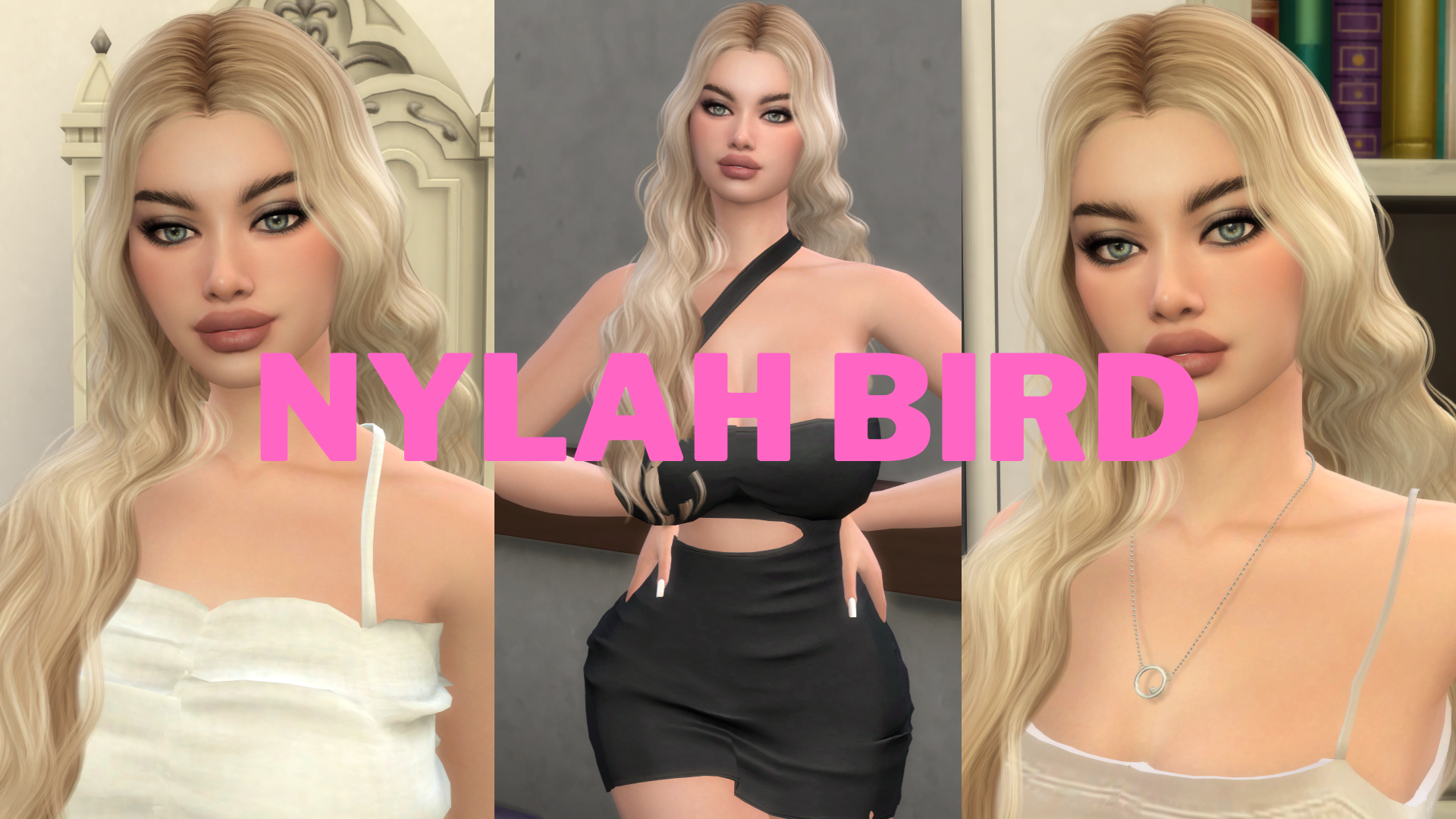 NYLAHBIRD.png.ed50815567565a6ff378e8d9c2e1298b.png