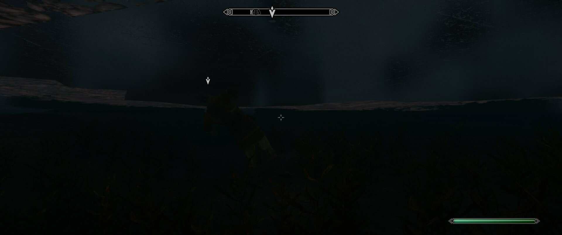 Silnis under water.jpg