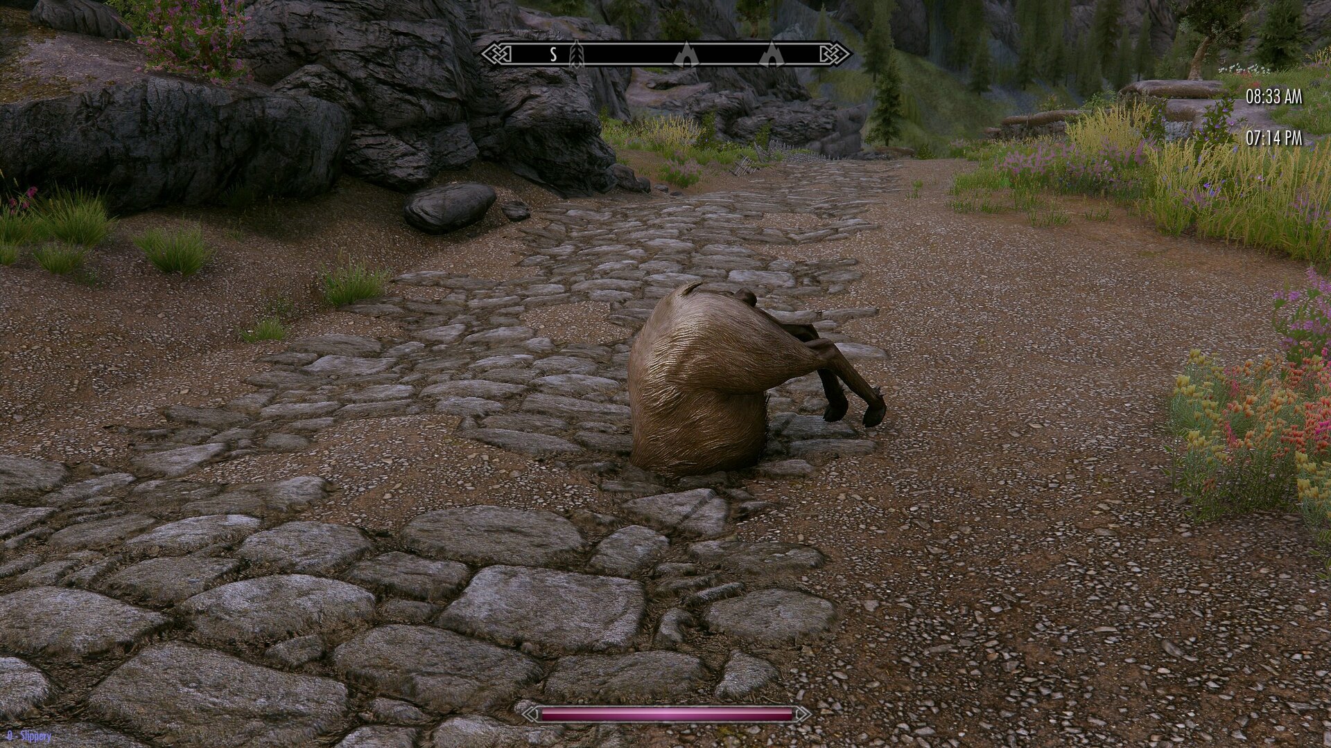 DeerRear.thumb.jpg.70b356aa4b0bb5bc351c12f829388bd2.jpg