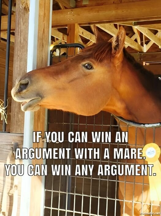 HorseWinningAnArgumentWithAMare.jpg.05cc6a187815298ba1b69929d6438430.jpg