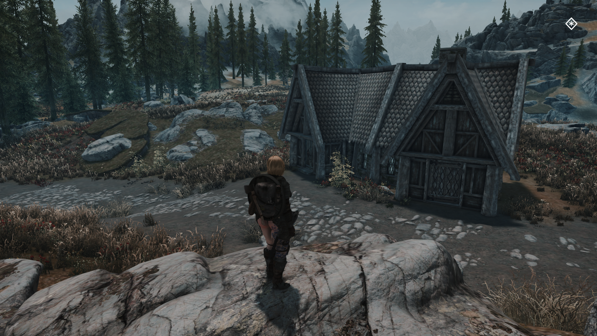 SkyrimSE2024-11-2300-25-42-64.png.5abbd0cda9f5814242bdc9eae97c895a.png