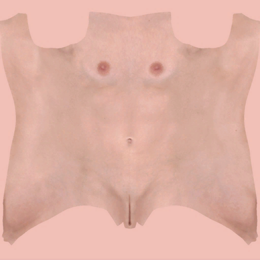 Std_Skin_Body_Diffuse_NDmod.png.aa26baed22d7b34f7563214ef01d7a9f.png