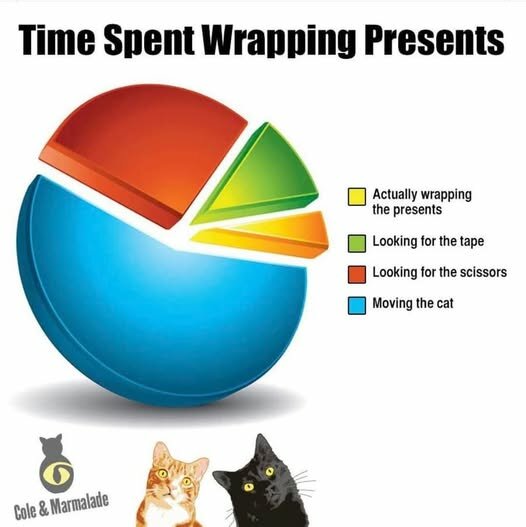 CatChristmasPresents.jpg.81c43f1c76bcb55cad958ec0c1150b98.jpg