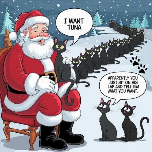 CatChristmasTuna.jpg.4857893b6328179e3a35d1ed0cc91147.jpg