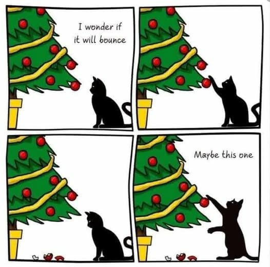 CatChristmasWillItBounce.jpg.3502177566d132c5605e2919002faa8a.jpg