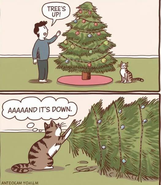 CatTreesUp.jpg.1de4833137ce93cd880f3b992f078147.jpg