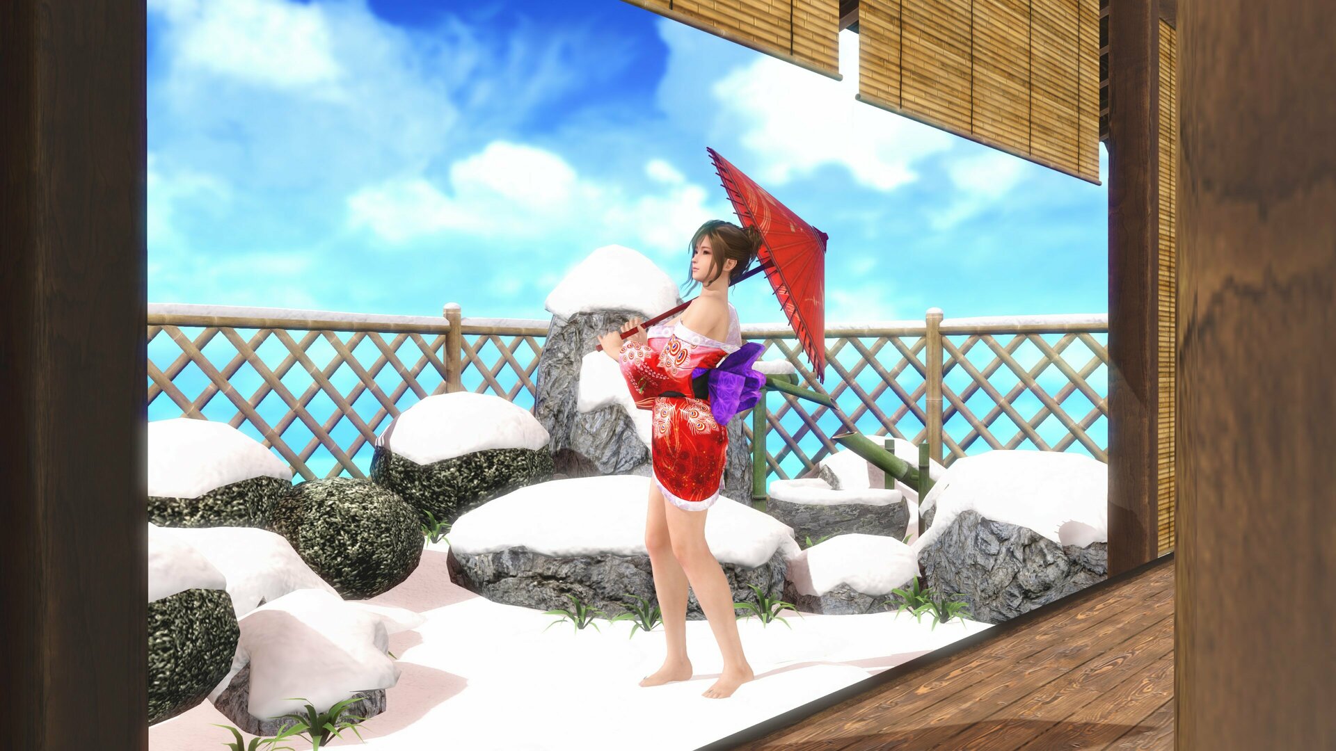 DOAX-VenusVacation_241228_114135.jpg