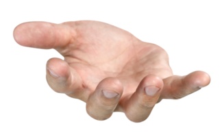 Hand.png.e788207d370ff40badc8e22d9f493bdd.png
