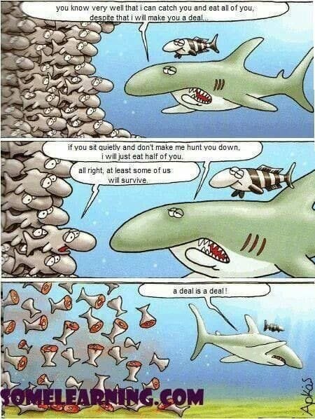 JokeSharkEatsOnlyHalf.jpg.a977684925957de4d219e1729f6a7e5d.jpg