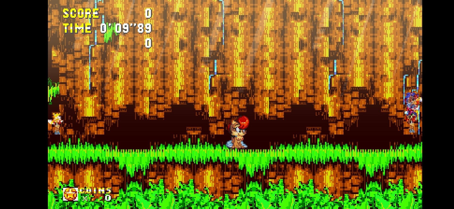 Screenshot_20241125-121009_Sonic 3 AIR.jpg