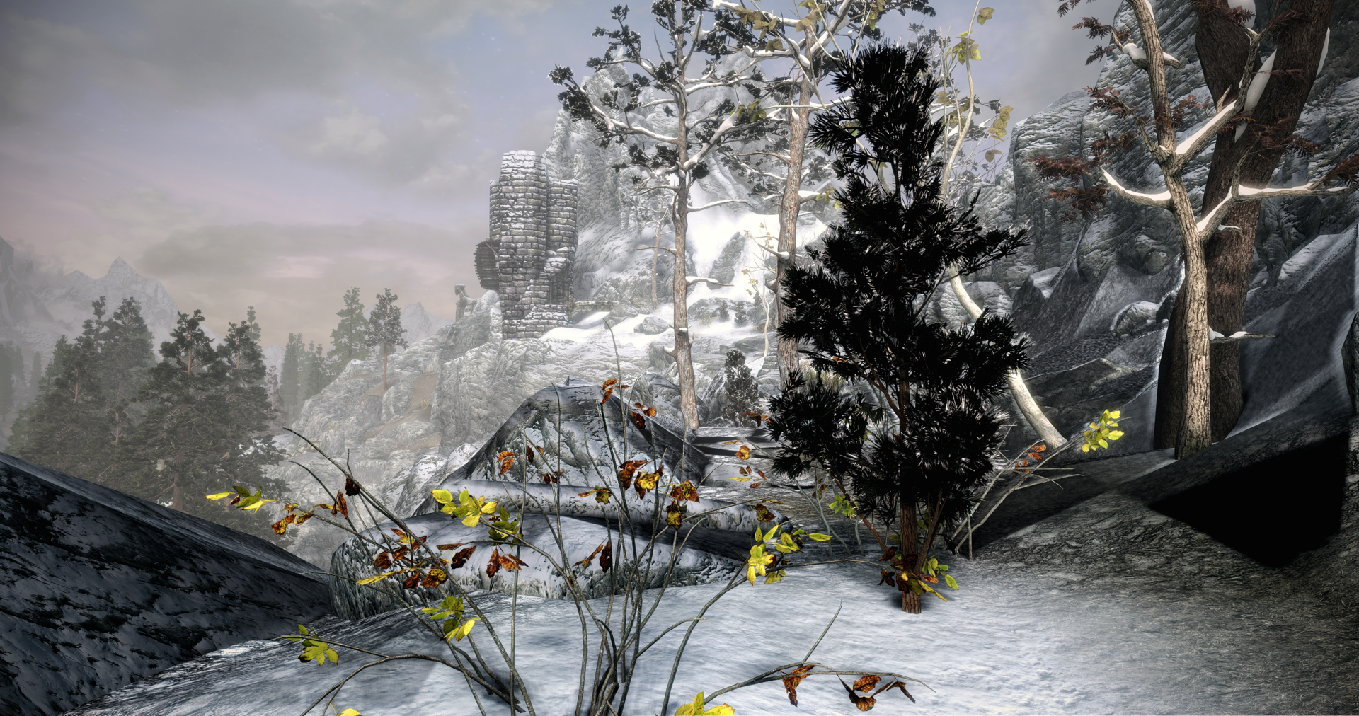 Screenshot_20241212_074127.png