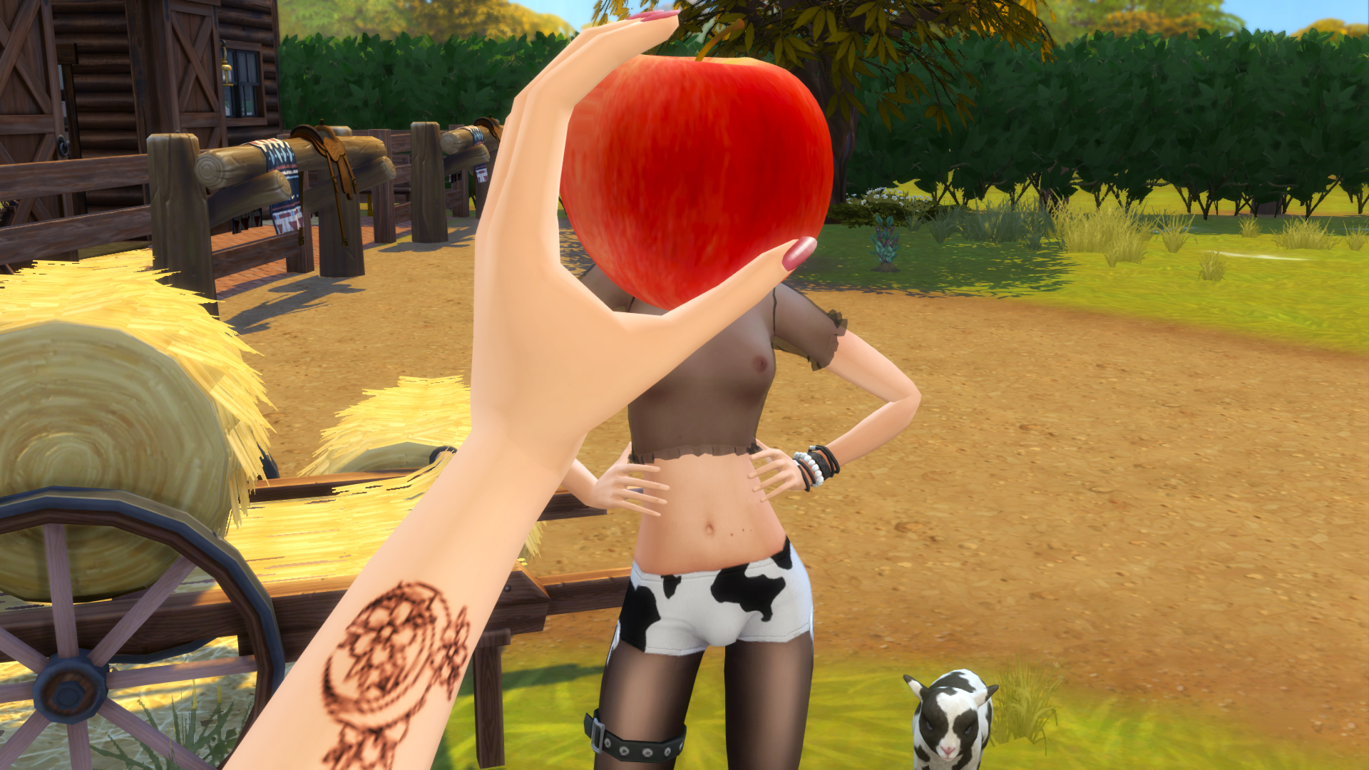 5.png.4ce5a58e41f4c8f54ceab3aa489f5d9a.png
