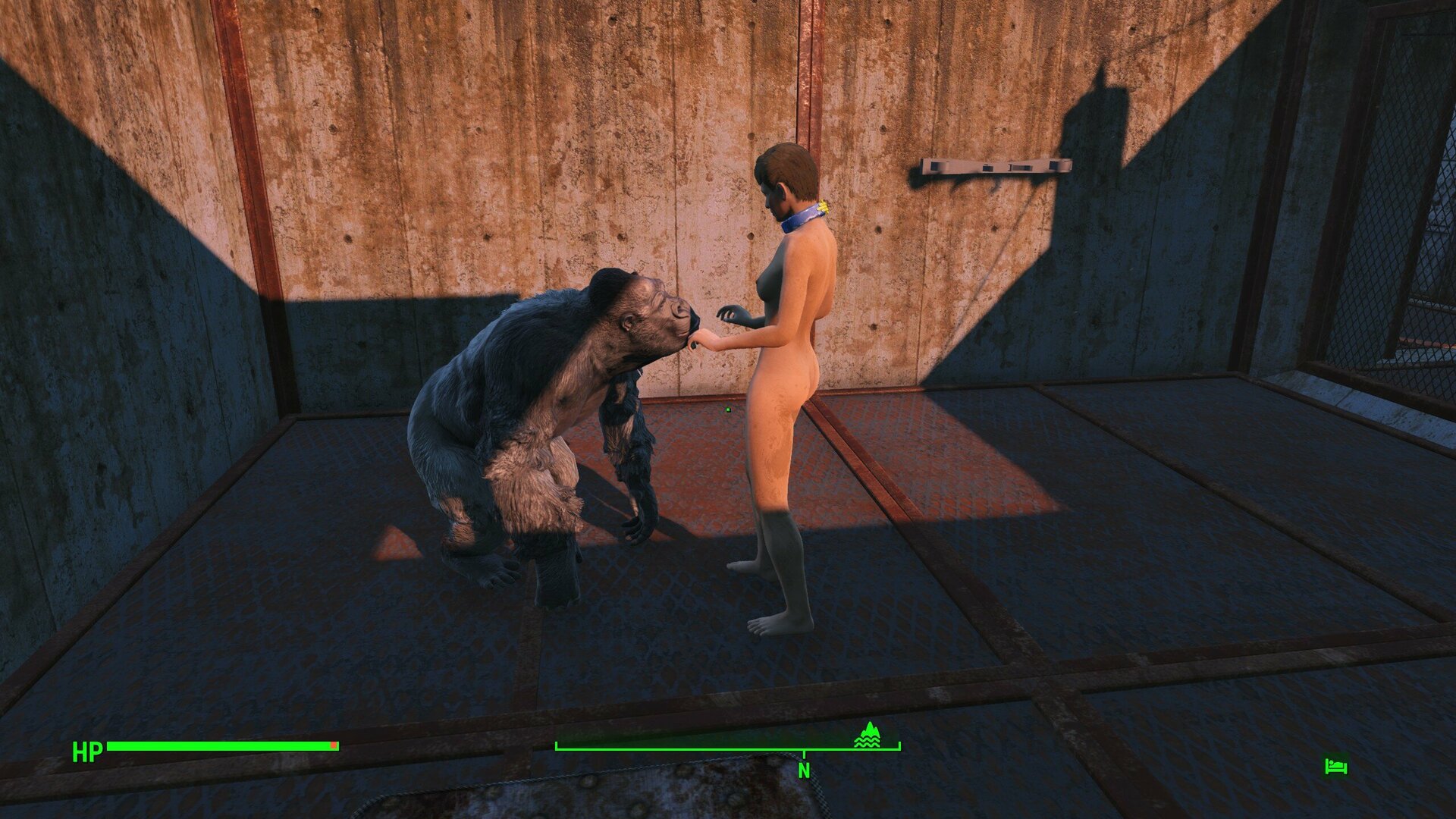 Gorilla_Mating_1.thumb.jpg.0387ec3f3c86475425533d7151398bae.jpg