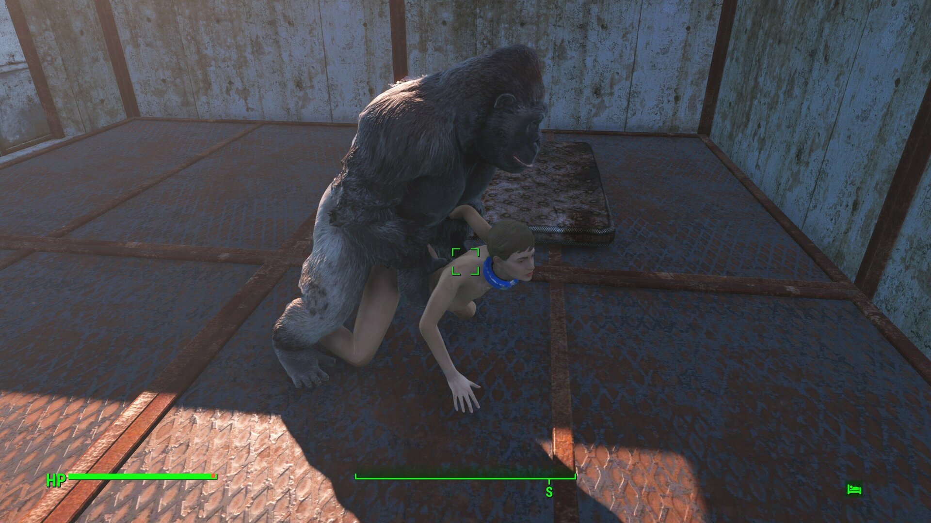 Gorilla_Mating_3.thumb.jpg.f50fd46177e8b2681dd6b84047374035.jpg