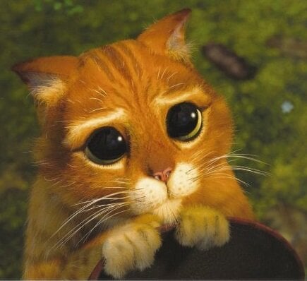 Pleaaaase.jpg.e50bffca00796168b5a99460d47ac86a.jpg