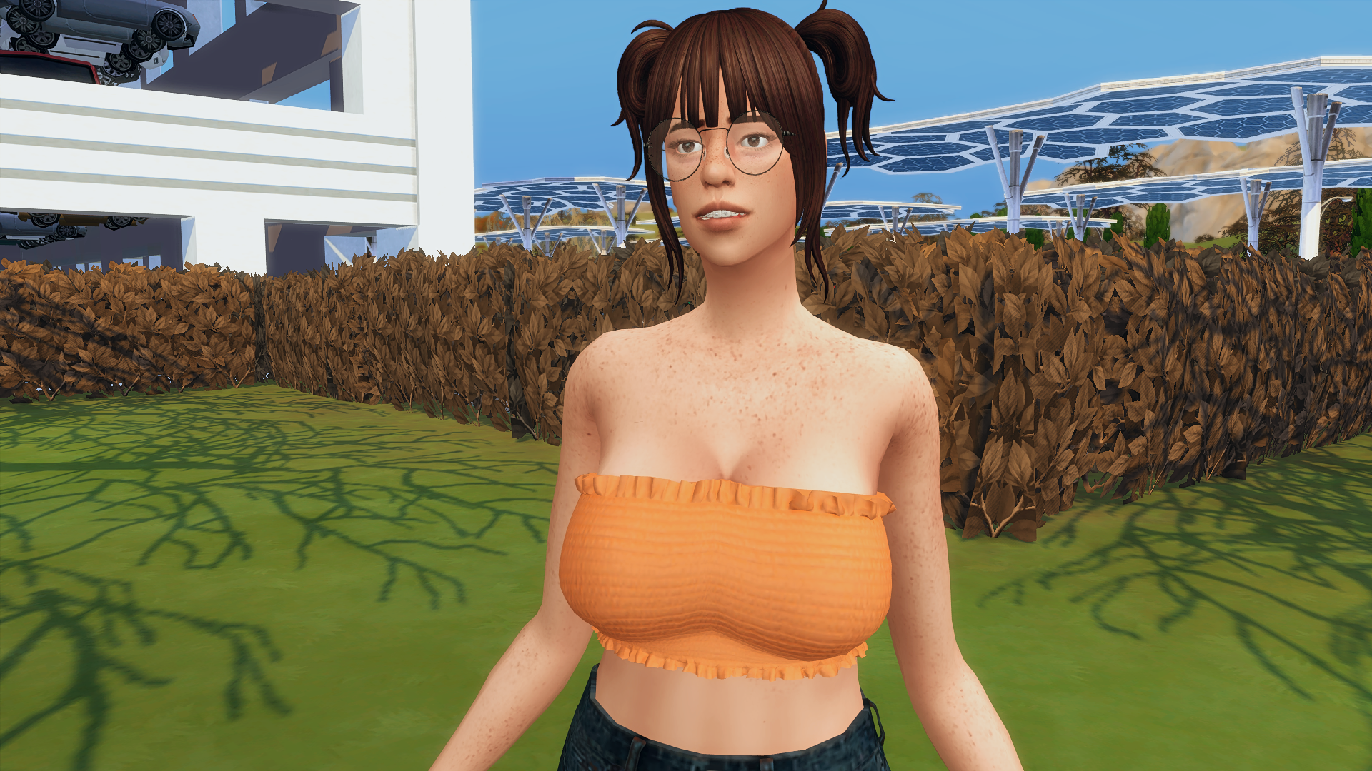 TS4_DX9_x642024-12-0621-10-25.png.cbd15aa75547b38a304bacf93cb99817.png