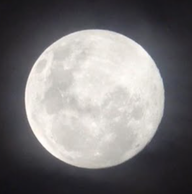 image.png.58840db3b3dc1197da740758c9fbeecc.png