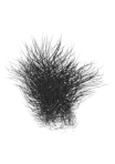 thumbnailBlack.png.d6bd43d029d949cb44ddb29b1fd62a17.png