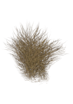thumbnailBlonde.png.af3190c542662d34fba54399ec3bbe0f.png