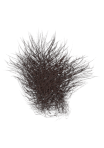 thumbnailBrown.png.ebe9927a3266632f78576a1dfd5417af.png