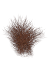 thumbnailGinger.png.e699c43fa1ef7776ff07e2376e62c3cd.png
